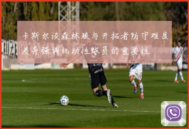 卡斯尔谈森林狼与开拓者防守难度差异强调机动性球员的重要性