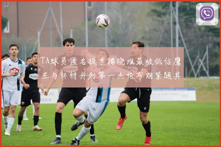 TA球员匿名投票揭晓谁最被低估鹰王与怀特并列第一杰伦布朗紧随其后